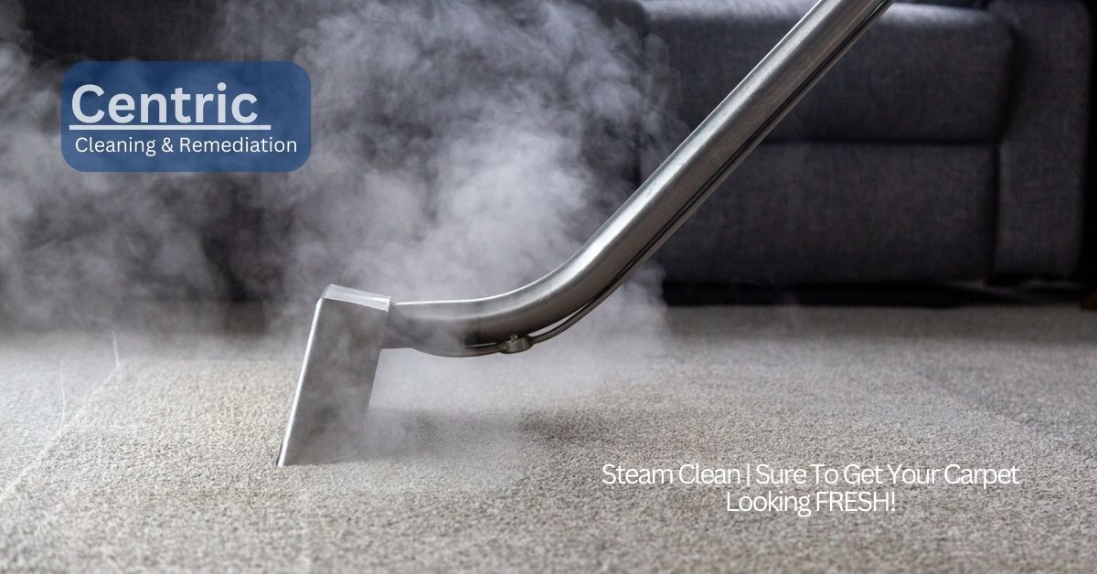 commercial and residential carpet cleaning